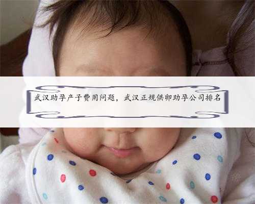 武汉助孕产子费用问题，武汉正规供卵助孕公司排名