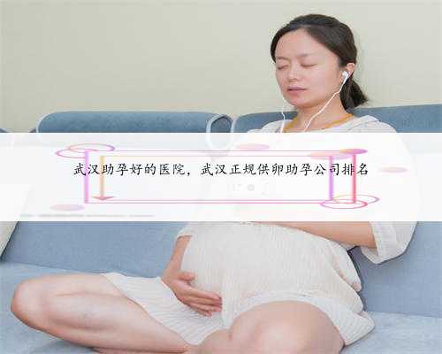 武汉助孕好的医院，武汉正规供卵助孕公司排名